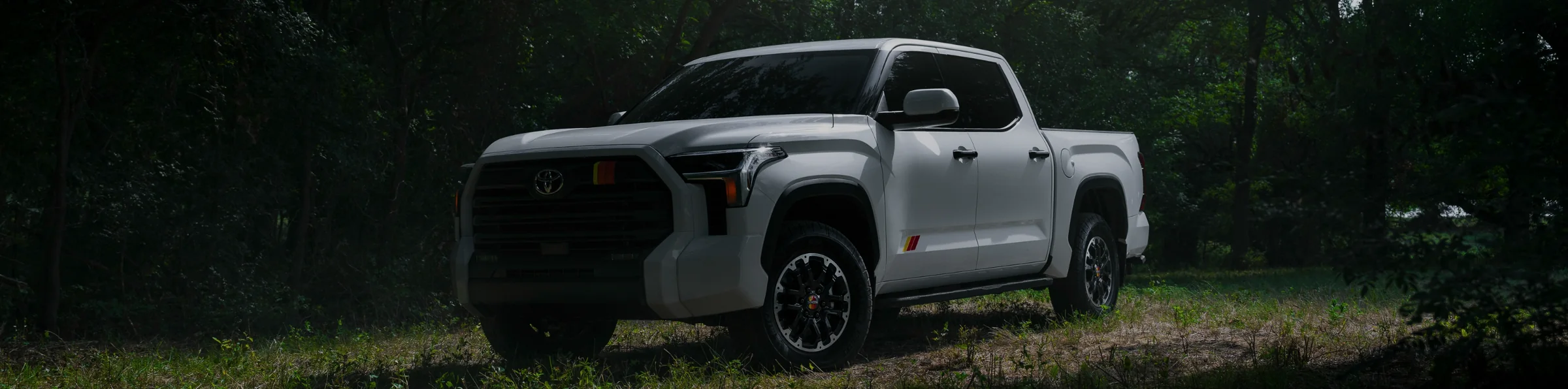Full-size pickup truck photographed in dense woodland